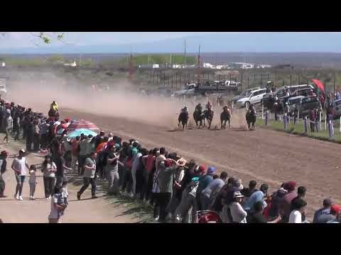 TURCO  Club Hípico Cipriano Catriel - Catriel - Río Negro - 24-09-23