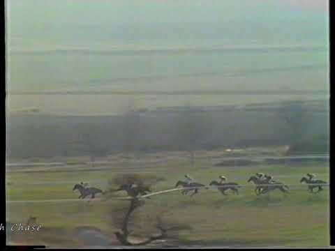 1983 Peter Marsh Chase Ashley House Includes Replay