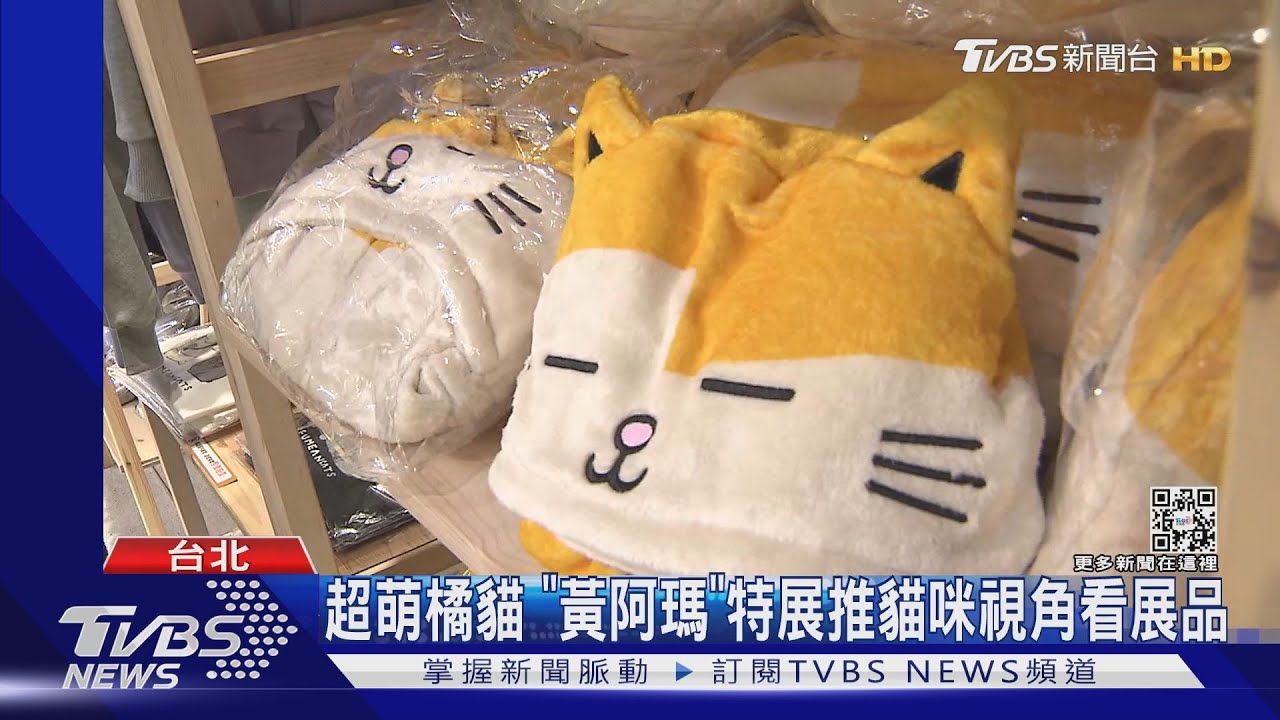 跨年看展! 「黃阿瑪」、「胖虎」、「湯姆貓」貓科明星陪你迎虎年