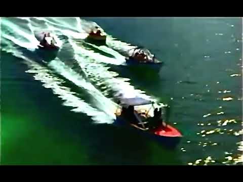 Vanessa Demouy jam is black 1995