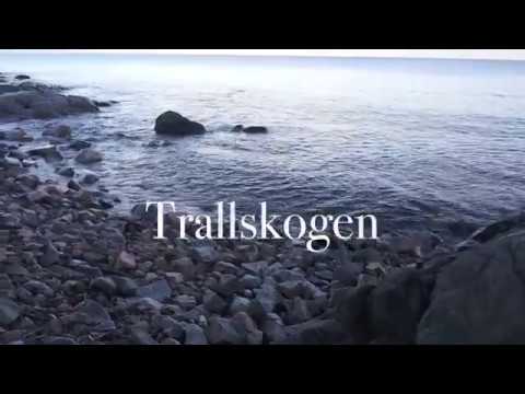 Trallskogen - Trollskogen 2017 Album Trailer