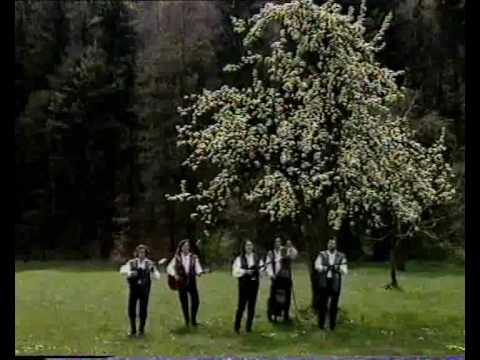 Zlatni dukati - Svi pjevaju, a ja tugujem