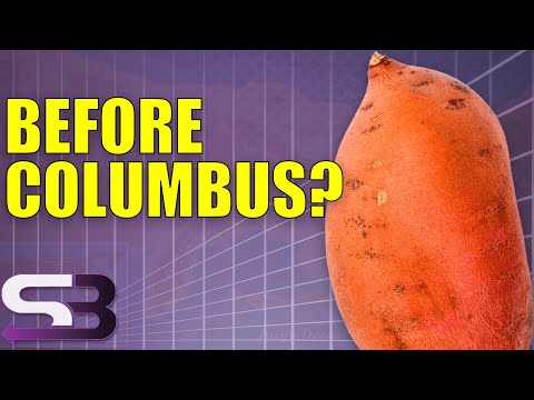 Did Columbus Really Discover America? Video