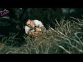 Sooravali Pola Pogira Traveller WhatsApp Status