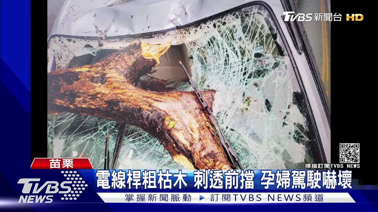 電線桿粗枯木!刺透前擋 孕婦駕駛嚇壞