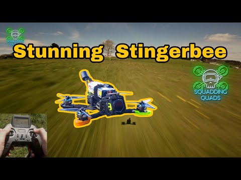 Unleashing the Stingerbee: Spring Sprint Thrills