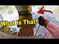 What I Found Magnet Fishing Could Have KILLED SOMEONE!