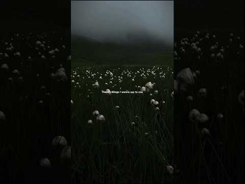 Lana Del Rey Sings Cinnamon Girl! #lanadelreylyrics #cinnamongirl