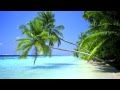 Good Size - The Pineapple Song 