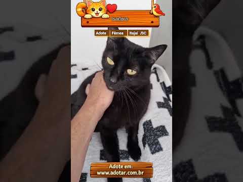 Vídeo de Isadora