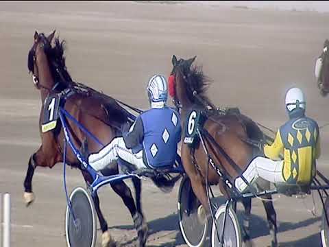 Trotto 03/03/2019 - 3ª corsa