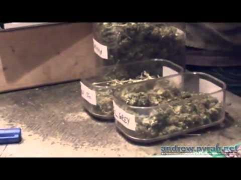 Menu Coffeeshop The Grey Area - Amsterdam Cannabis Cup Tour 2013 HD