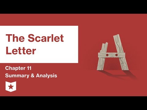 The Scarlet Letter  | Chapter 11 Summary and Analysis | Nathaniel Hawthorne