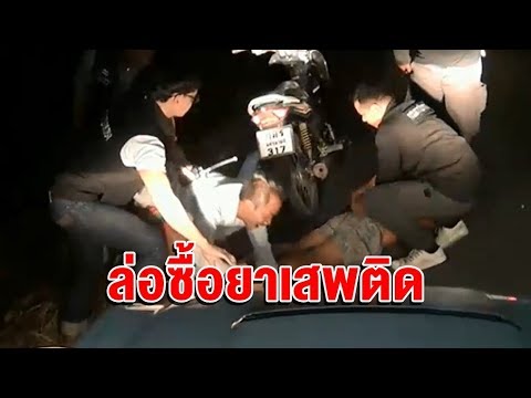 ข้าวโพดที่มีความแข็งแรง ใน Sytin แรงชาย