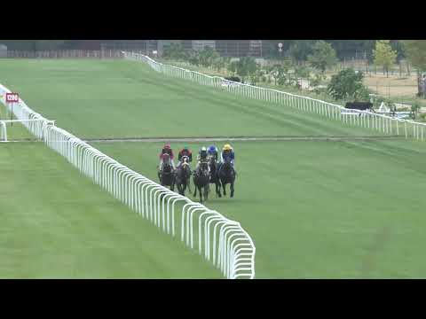 2022.08.21. 06. futam - SZENT ISTVÁN DÍJ (Elit kat.)