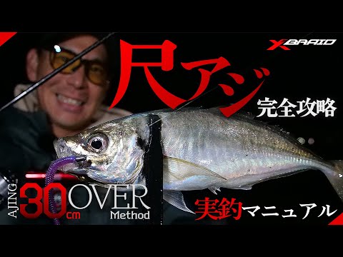【尺アジ連発】S-PET（エステル）で狙う！30cm OVER アジング実釣マニュアル