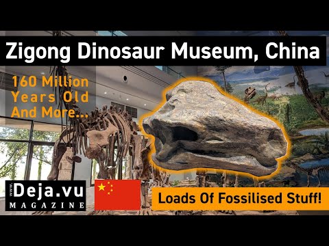 Zigong Dinosaur Museum