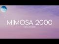 Furacão 2000 Mimosa 2000 Lyrics