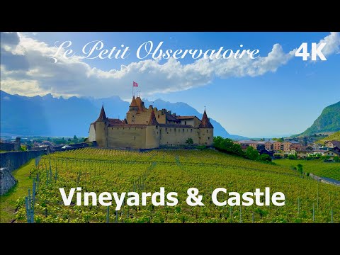 🇨🇭 Château d'Aigle Unveiled: Exploring a Swiss Castle and Its Vineyards