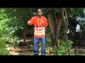 Jah Cure - Green Grass.mp4
