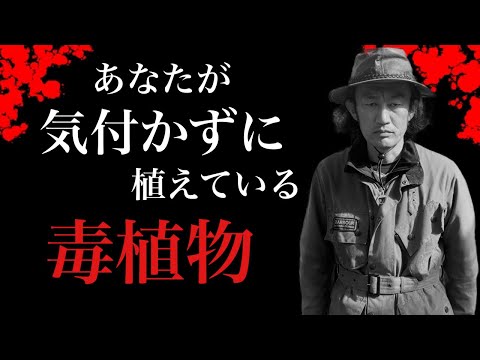 女性のマント 植物