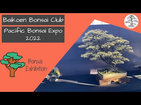 Pacific Bonsai Expo 2022 - Bonsai Exhibition - Baikoen Bonsai Club