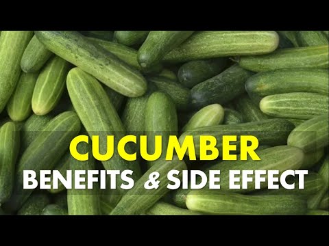 , title : 'Cucumber Benefits and Side Effects, Why Cucumber Are Good for You'