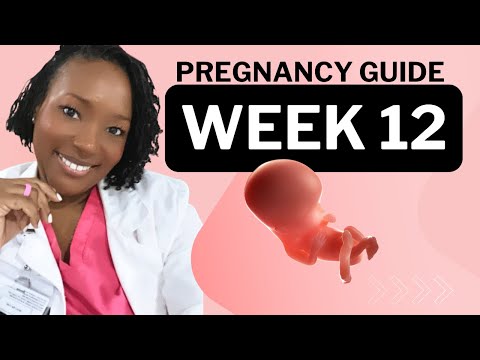 12 Weeks Pregnant: What To Expect
