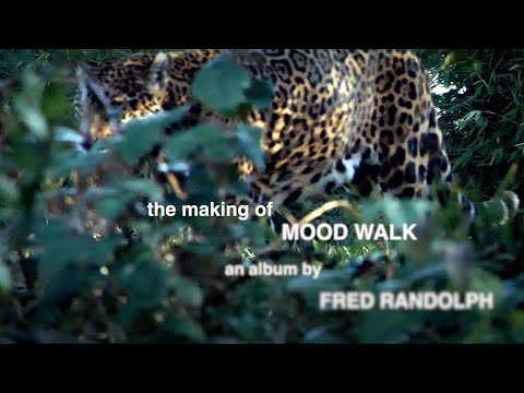 The Making of "Mood Walk"