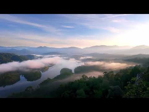 Noiger - Jungle -  (Liquid Brilliants)