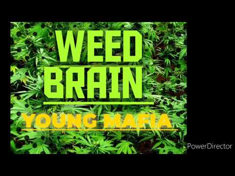 Young Mafia- Weed brain- ( Official Audio ) May 2020