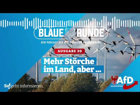 Mehr Störche im Land, aber ... | Die Blaue Runde, Ausgabe 30