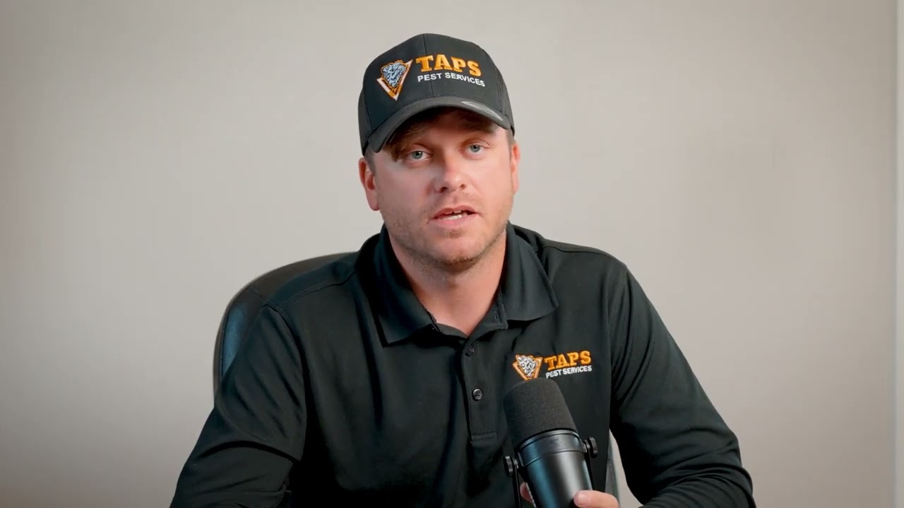 Alex from TAPS Pest Services discussing digital marketing results with Nation Media Design