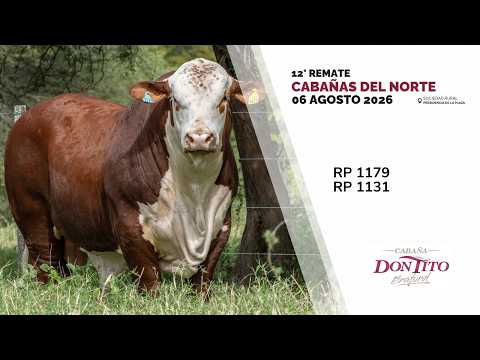 2 DON TITO RP 1179 RP 1139   CABAÑAS DEL NORTE 2026