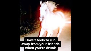 Dank Offensive Memes Compilation #230