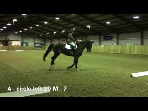 BD prelim 2 2016 with judges scores 70.34% & comments