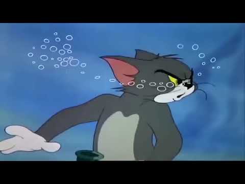 A Different Forrest - Timber Mix - The Clifford Gilberto Rhythm Combination // for the teub