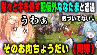 深夜に牛を黙々と処す配信外の珠乃井ナナと遭遇し一瞬ドン引きするも秒で同罪となる雲母たまこ【にじ鯖/にじさんじ/切り抜き/マインクラフト】