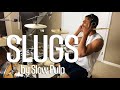 Slugs by Slow Pulp (drum cover)