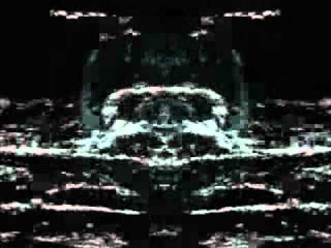 Nilakshy-Fly With Me