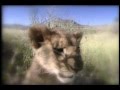 The Making Of The Lion KinG LASER DISC 1 4 Subtitles