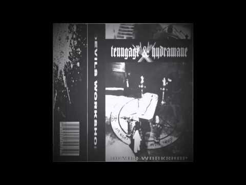 THE DEVILS WORKSHOP (TENNGAGE X HYDRA MANE)