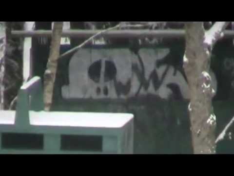 Mukavasti viikko on lähtenyt käyntiin