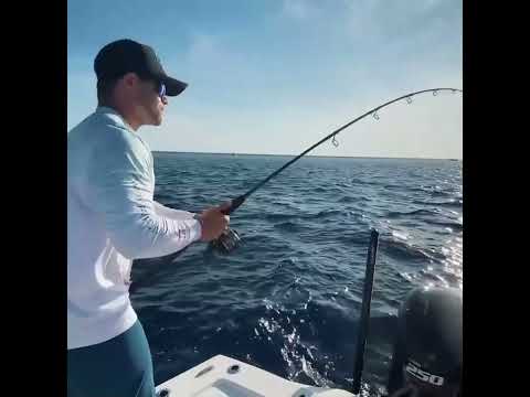 Epic Islamorada Fishing Frenzy!   Lobster, Mahi Tuna, Grouper Catch and Clean Cook | #shorts