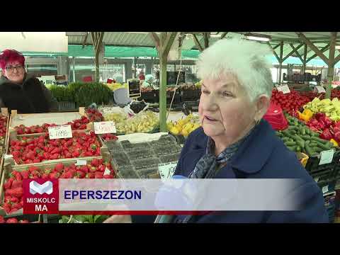 Videó előnézet