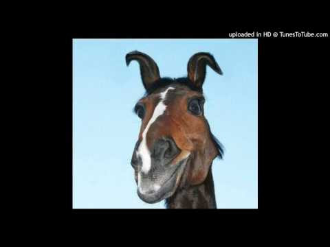 Today's Tango Is... Pippermint - Francisco Canaro 01-07-1931