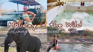 Holiday in the wild | Skin Care +Bush walk +Game tour + SPA | Madikwe Safari South Africa 🇿🇦