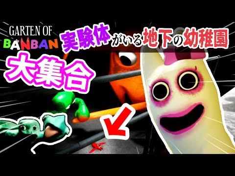 コリエン・ウルメン=フェルナンデス:「アルム」セレブの間で事態は非常に進んでいる