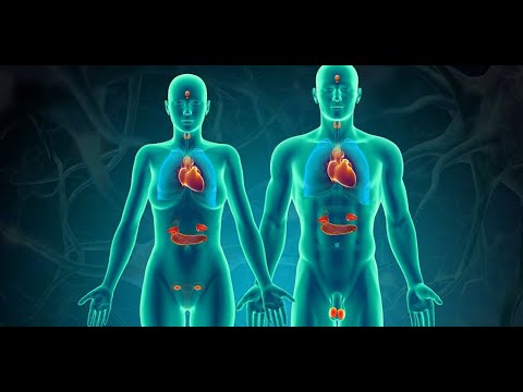 Anatomy and Physiology of Endocrine System
