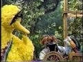 Sesame Street Zoe Big Bird Play Pirate